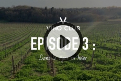 Le travail de la vigne en hiver !