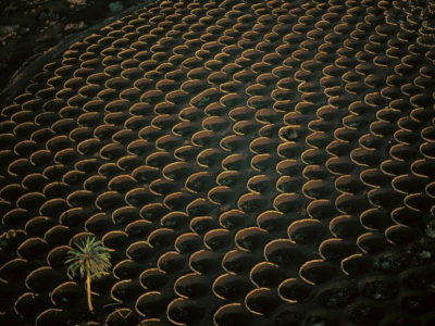 Les vignobles les plus atypiques du monde